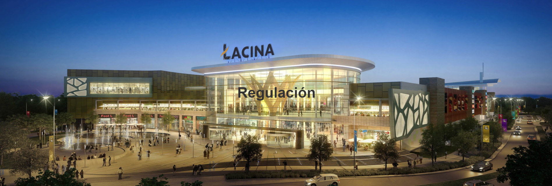 REGULACI&#211;N - bim