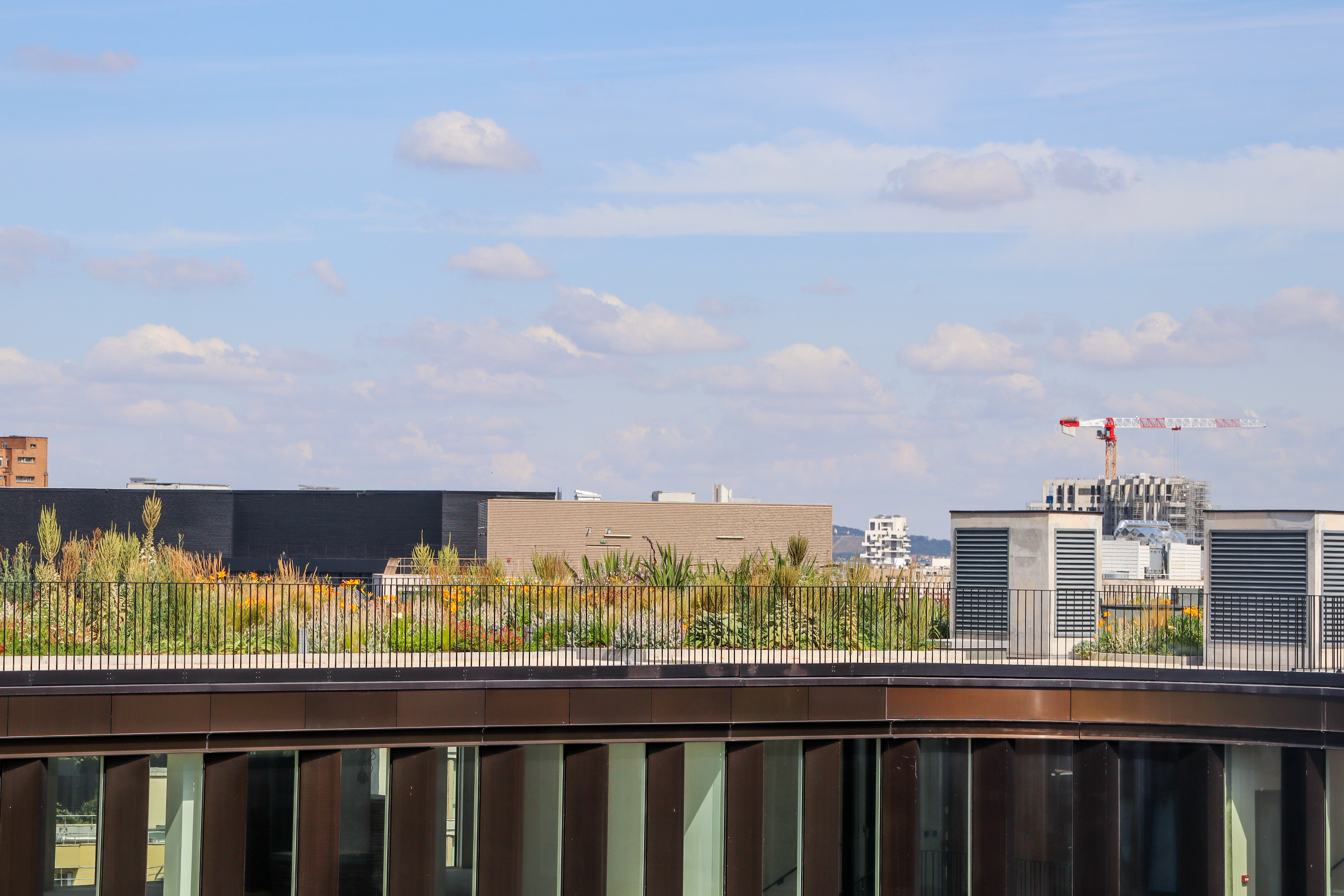 Substrat / Terreau / Terre - bim