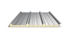 Roof sandwich panels - bim