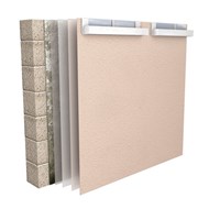 Facade decoration in the presence of mold and moss (DE5) - bim