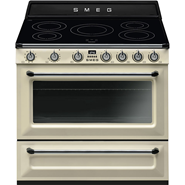 Cooker TR90IP9 - bim